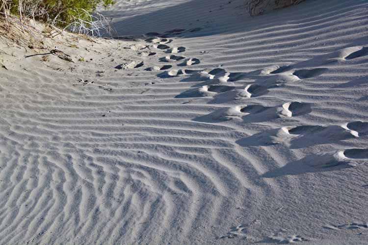 sand dunes